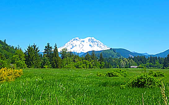 Seguro de viaje al parque nacional Monte Rainier